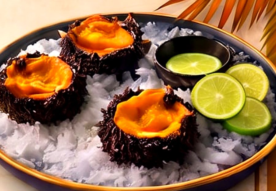 Fresh sea urchin served on crushed ice